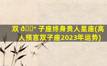 双 💮 子座终身贵人星座(高人预言双子座2023年运势)